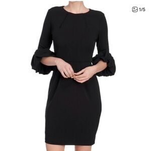 Betsy & Adam Elegant Black Ruffle Sleeve Dress